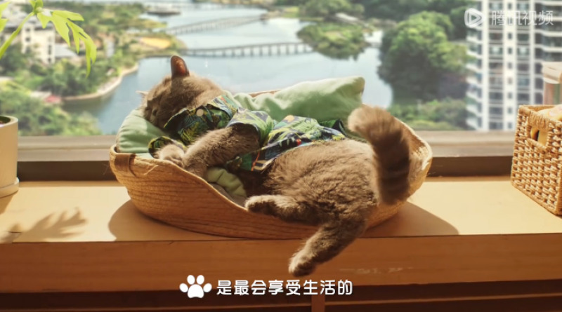 QQ浏览器截图20240520164109-800.jpg