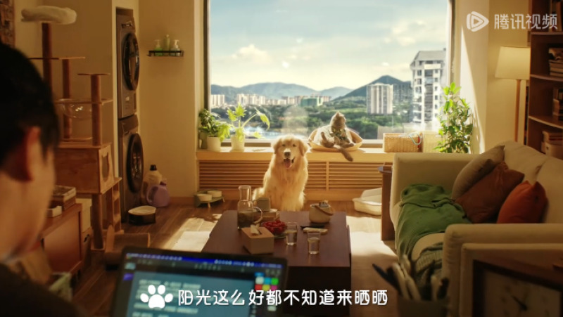QQ浏览器截图20240520164132-800.jpg