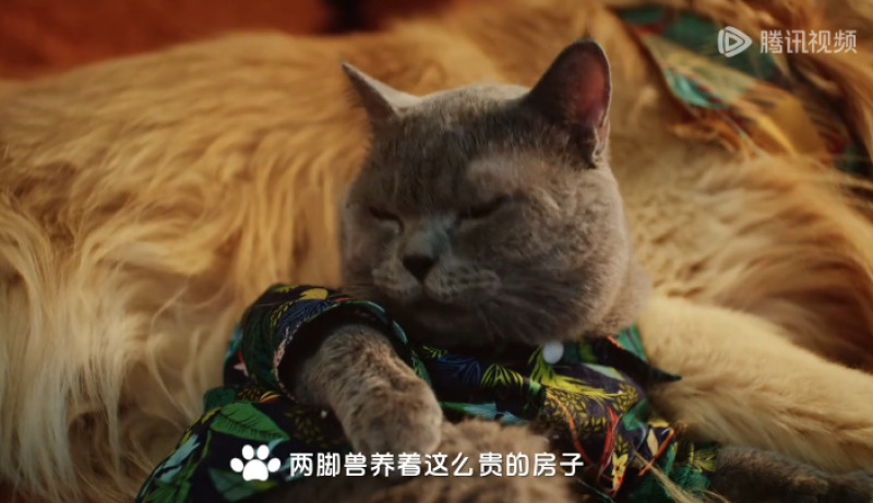 QQ浏览器截图20240520164246-800.jpg