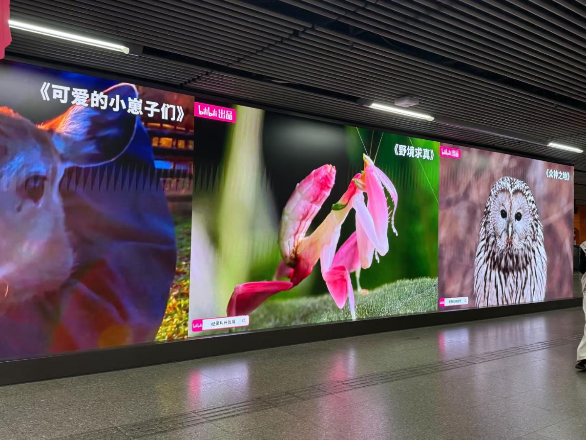6e2506b578af1a4e8c092e50fbedfac5-800.jpg