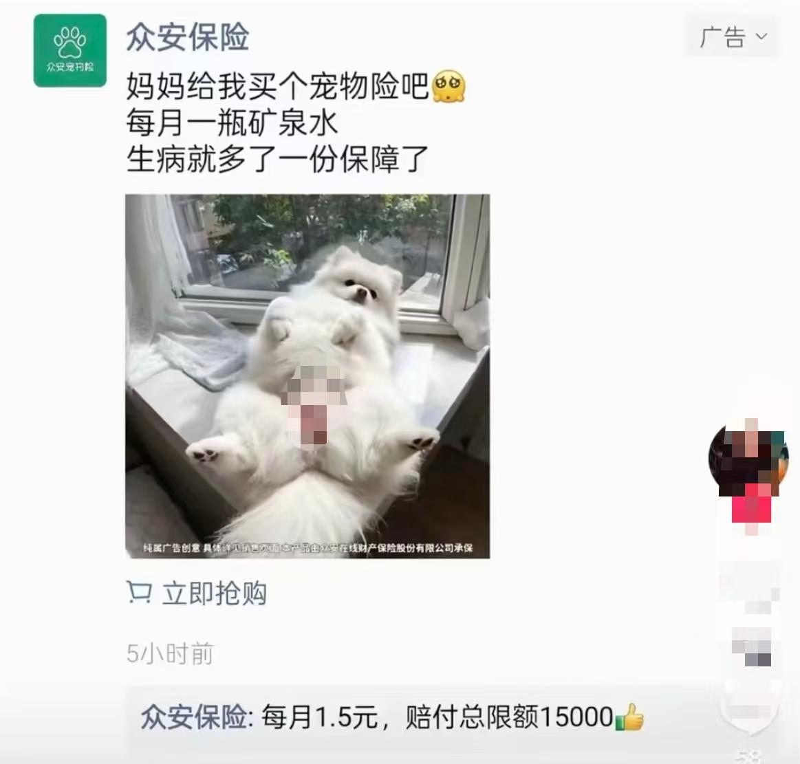 0c786dd5077fc353a53db24b0929422d-800.jpg