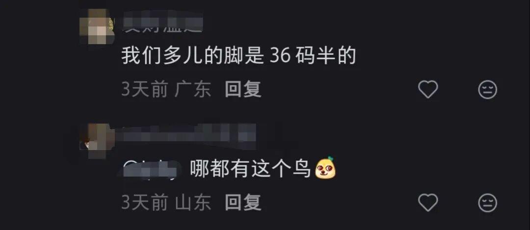 2G6vX9NSSg-800.jpg