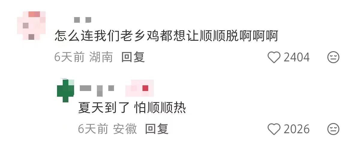 de90442b98ebd1cd61db6d343f0955f0-800.jpg