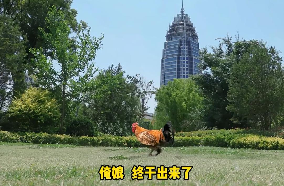 7869afa4e5f8dc37bcd56623f589521f-800.jpg