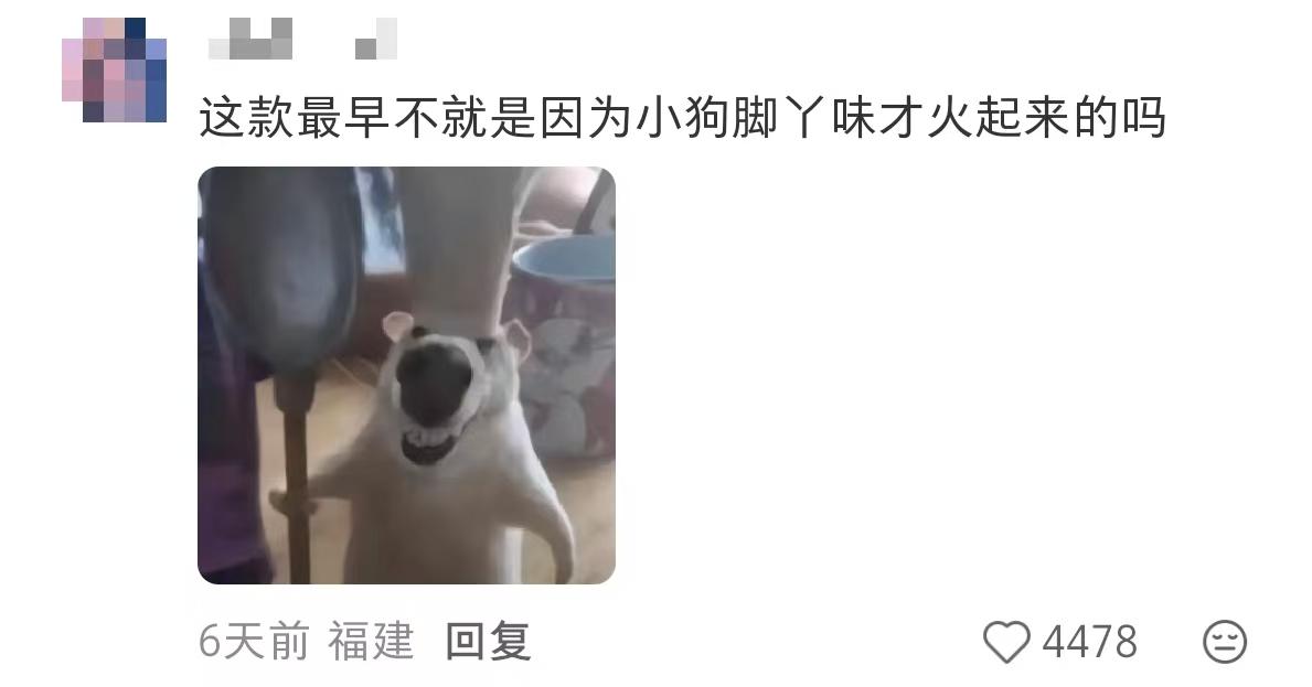 d798d7c6efbd179d844d89fc6cd36879-800.jpg