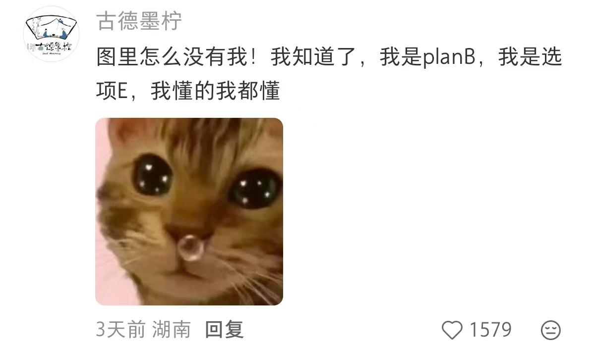 a443d6cc39a3059c514bdc33c6b6e560-800.jpg