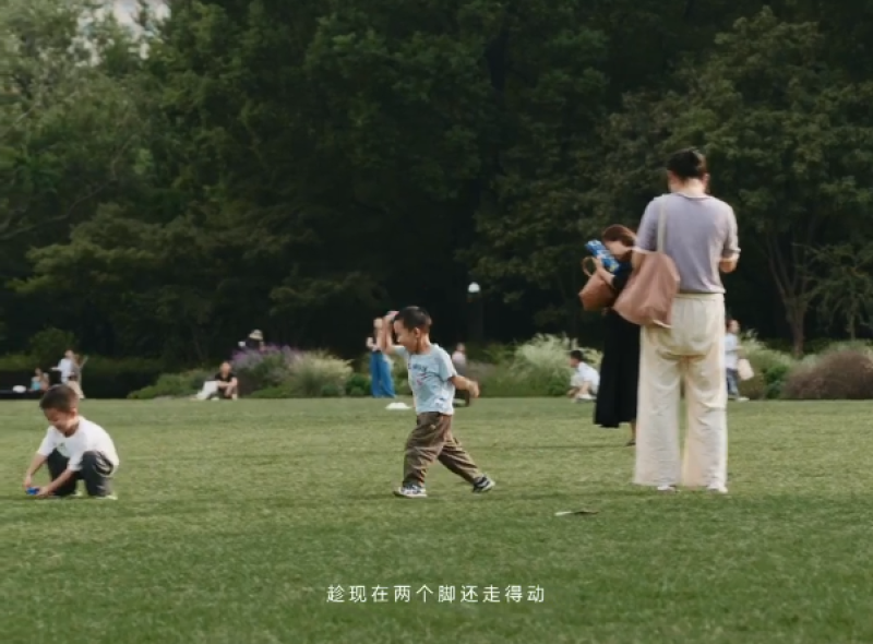 403652b1eb25c369be39db765a5ee201-800.png