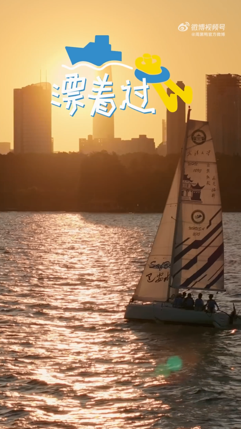 0ef0a27999a03b61b3a7349c795a1486-800.png