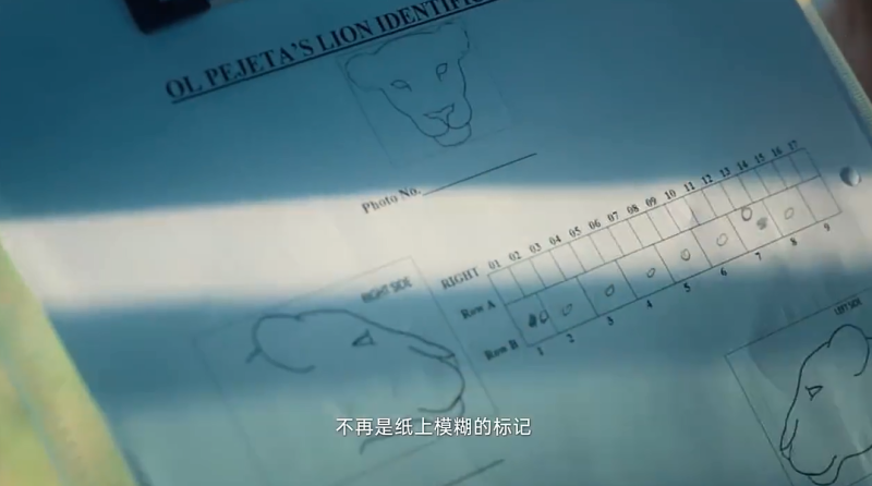 803a72f5f2511171aeeac35c8cacb064-800.png