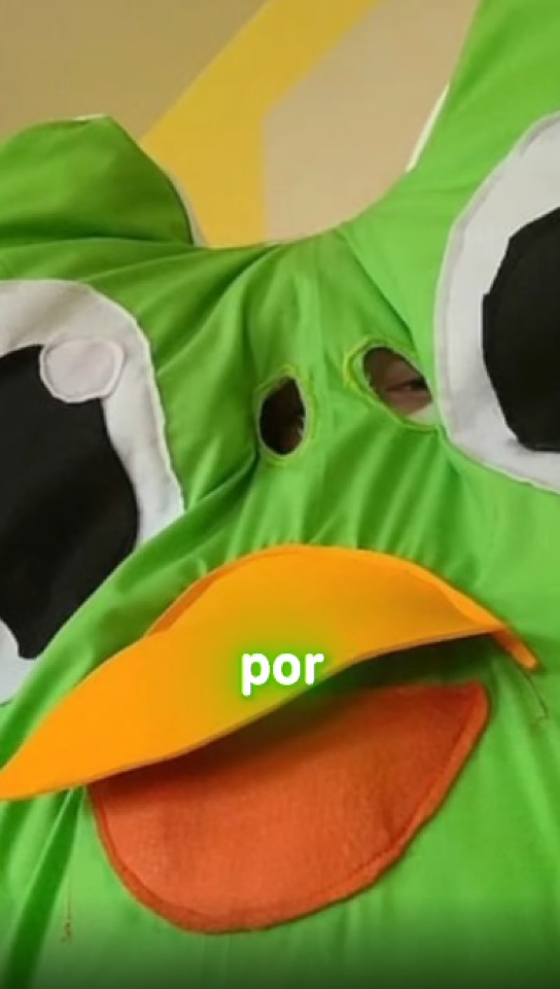 808389c5b9de89077115b82dade529b4-800.png