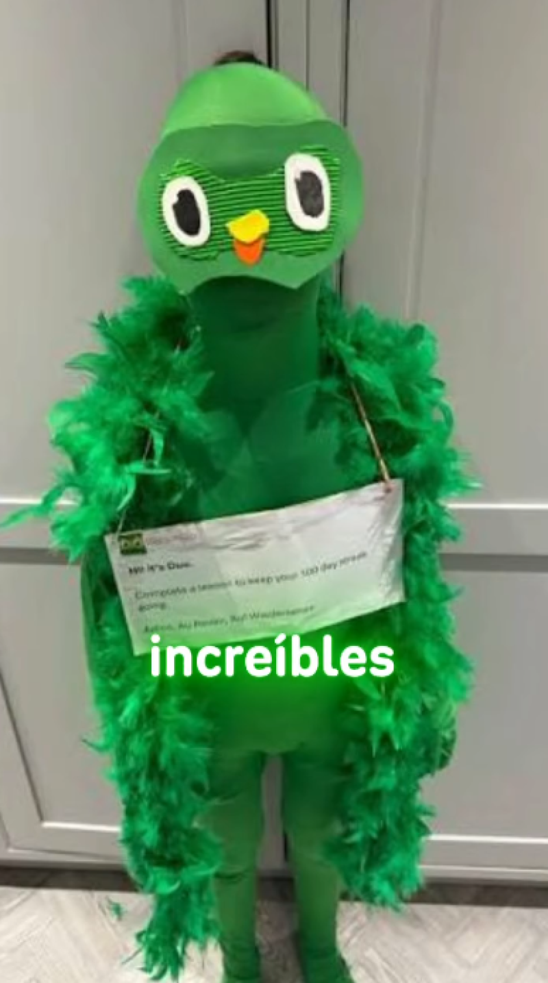 7abba3698009cef99528b740416c5972-800.png